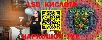 гидра Новодвинск