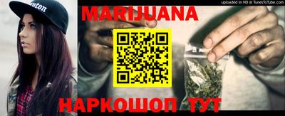 гидра Новодвинск